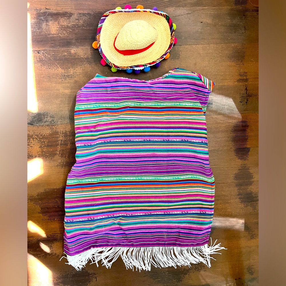 Dog costume sombrero and poncho for mid-large size dog.